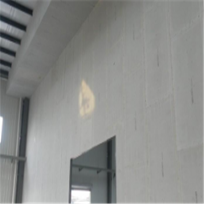 新郑宁波ALC板|EPS加气板隔墙与混凝土整浇联接的实验研讨